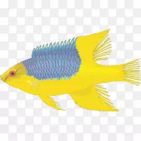 为众多的博客动画提供素材-空若网 为众多的博客动画提供素材-空若网