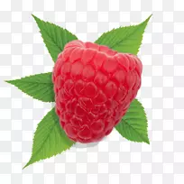 ��ݮ������-������