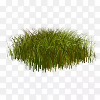 乔木景观灌木花园-热爱自然环境-空若网 乔木景观灌木花园-热爱自然环境-空若网