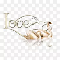 爱情-情人节爱情天鹅PNG剪贴画-空若网 爱情-情人节爱情天鹅PNG剪贴画-空若网