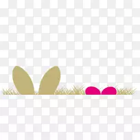 �����ֽ��д������Ʒ����-������