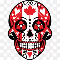 ���ո���ֽ������-������