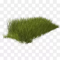 ��ƺ��-�Ȱ���Ȼ����-������