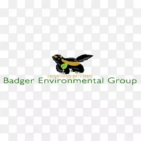 商标昆虫桌面壁纸品牌字体环保组-空若网 商标昆虫桌面壁纸品牌字体环保组-空若网