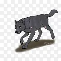 灰狼动物,毛皮,鼻子,野生动物追逐梦想-空若网 灰狼动物,毛皮,鼻子,野生动物追逐梦想-空若网