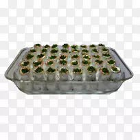 塑料玻璃坚不可摧-卡朱卡特利-空若网 塑料玻璃坚不可摧-卡朱卡特利-空若网