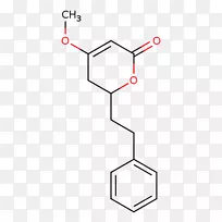 �л���ѧ�������л��������ѧ-������