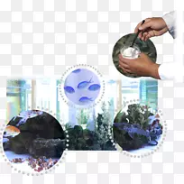 冈山科学大学海水魚研究-科学家拉博-空若网 冈山科学大学海水魚研究-科学家拉博-空若网