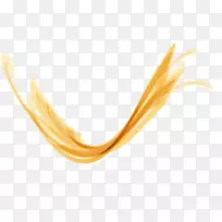 ��ɫ����-����-������