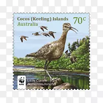 澳洲邮票集邮橡胶邮票集邮通缉邮票-空若网 澳洲邮票集邮橡胶邮票集邮通缉邮票-空若网