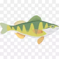 博客鱼黄鲈鱼动画-空若网 博客鱼黄鲈鱼动画-空若网