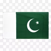 绿色长方形标志-空若网 绿色长方形标志-空若网