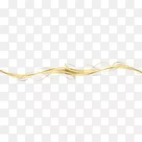 昆虫耳线害虫膜.经典株系-空若网 昆虫耳线害虫膜.经典株系-空若网