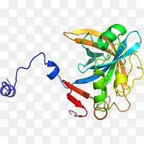 �ߵ�ƽ����Ƽ�������-������