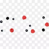 工业设计水果Auglis n hrwert-野生浆果-空若网 工业设计水果Auglis n hrwert-野生浆果-空若网