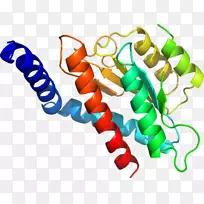 人体首饰有机体线剪贴画线-空若网 人体首饰有机体线剪贴画线-空若网