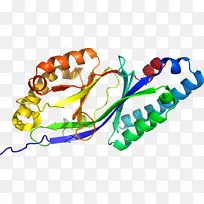 ���������л����߼�������-������