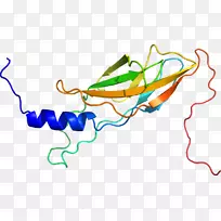 �ߵ������������-������