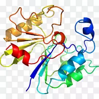 �ߵ������������-������