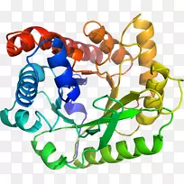 �����߶����������-������