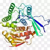 植物茎线动物剪贴画线-空若网 植物茎线动物剪贴画线-空若网