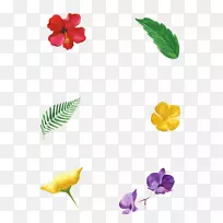 婚礼请柬,花瓣开花植物,热带邀请-空若网 婚礼请柬,花瓣开花植物,热带邀请-空若网