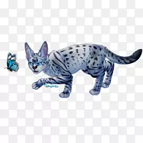 ����è�ƶ���צ��Ұ������-����Ż�-������