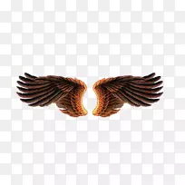 无损压缩-空若网 无损压缩-空若网