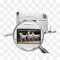 �����ǳ�-������ͼ-������