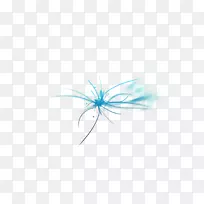 昆虫近距离天空电脑壁纸-彩色线-空若网 昆虫近距离天空电脑壁纸-彩色线-空若网