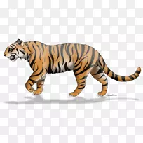 虎猫陆生动物野生动物-老虎-空若网 虎猫陆生动物野生动物-老虎-空若网