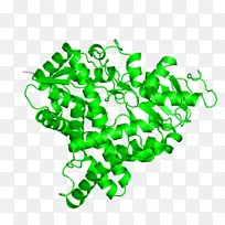 线绿点剪贴画线-空若网 线绿点剪贴画线-空若网