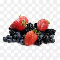 ��ݮֲ�ﻯѧ���������ཡ����ҩ��ѧ�ͷ�������ѧ(21���͹�������)-������