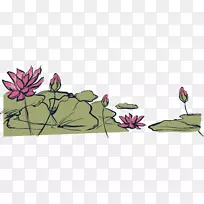 中秋节插画手绘荷塘-空若网 中秋节插画手绘荷塘-空若网