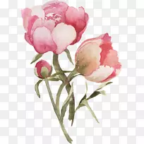 手写体书法下载字体-粉红护林员-空若网 手写体书法下载字体-粉红护林员-空若网