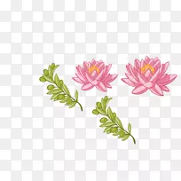 nelumbo nucifera��������ɫ��Ҷװ��ͼ��-������