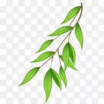 树枝剪贴画-绿色树枝剪贴画-空若网 树枝剪贴画-绿色树枝剪贴画-空若网