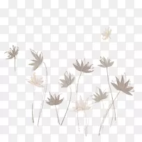 插图.灰度手绘莲花插图-空若网 插图.灰度手绘莲花插图-空若网