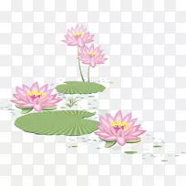 荷塘-空若网 荷塘-空若网