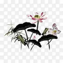 Ë®²Ê»²¼´ïÑÇÌìºÓ-ÃÀÀöµÄË®²Ê»Á«»¨-¿ÕÈôÍø Ë®²Ê»²¼´ïÑÇÌìºÓ-ÃÀÀöµÄË®²Ê»Á«»¨-¿ÕÈôÍø