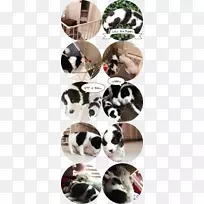 ëƤƴ������-������