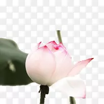 Ұ����-�ֻ�����-������