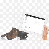 多媒体棒球经理-空若网 多媒体棒球经理-空若网