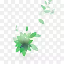 ��Ҷ����.��ɫ���ʺɻ�Ư������-������