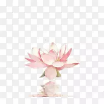 Á«»¨Ë®²Ê»-·´ÉäÁ«»¨-¿ÕÈôÍø Á«»¨Ë®²Ê»-·´ÉäÁ«»¨-¿ÕÈôÍø