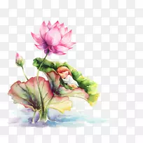 ˮ�ʻ������ʻ�-��ɫ�ֻ���������-������