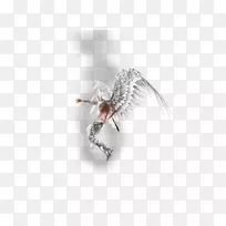 昆虫珠宝.昆虫-空若网 昆虫珠宝.昆虫-空若网