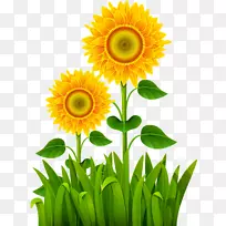 ���������-������