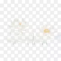 植物切花、嫩枝、茎-优雅的莲花无花果。-空若网 植物切花、嫩枝、茎-优雅的莲花无花果。-空若网