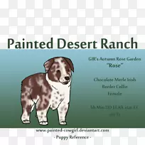 狗繁殖犬鼻子字体-小狗-空若网 狗繁殖犬鼻子字体-小狗-空若网